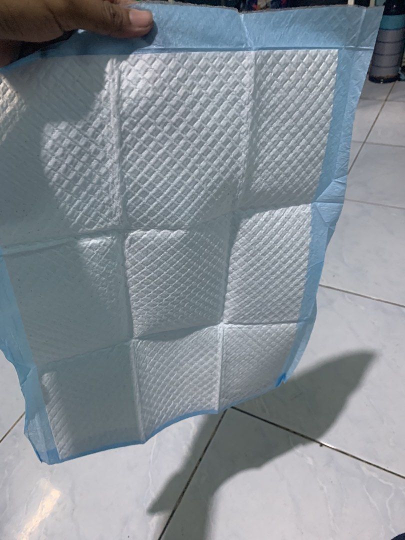 pet pee pads training pads disposable (Category: Health & Grooming) located in Valenzuela. Submitted by diane.35 (Listing ID 1465453691, Image 2). Description: - Brand new and unused, still folded in original clear packaging - Highly absorbent quilted white top layer for quick moisture lock - Waterproof blue backing plastic sheet to protect floors - Standard rectangular shape, ideal for daily use - Great for potty training puppies or caring for s