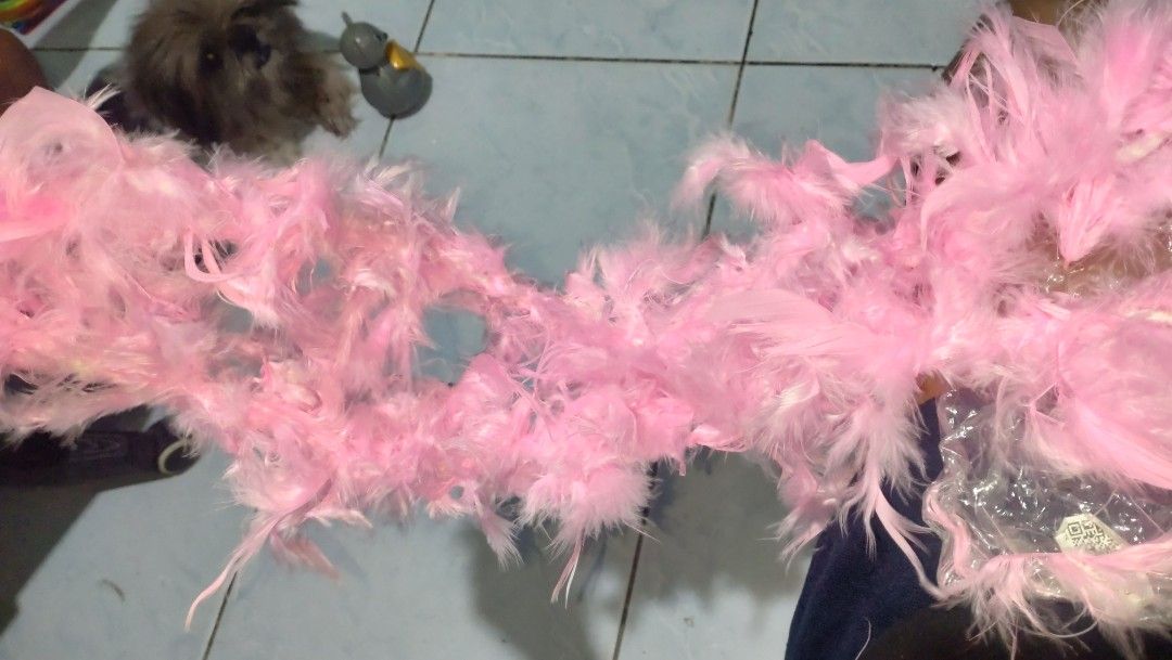 Pink Feather Boa Scarf Costume Accessory (Category: Scarves) located in Valenzuela. Submitted by diane.35 (Listing ID 1465499195, Image 1). Description: - Super bright pink feather boa - Soft and full feathers - Lightweight and comfortable to wear - Great for parties, costumes, dress-up, and photo shoots.