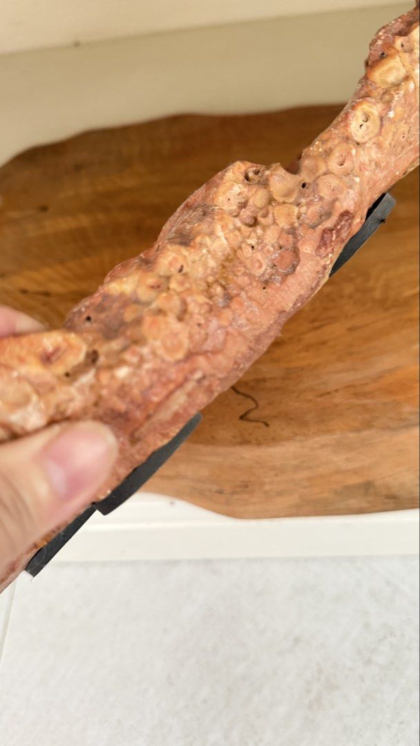 Red Botryoidal Agate Crystal Display Specimen with Wooden Base (Category: Precious Stones) located in Manila. Submitted by pinklilo (Listing ID 1465467194, Image 2). Description: .