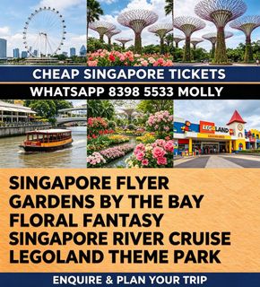 Singapore Cable Car Pokémon Themed Cabin Ride Pass, Tickets & Vouchers ...