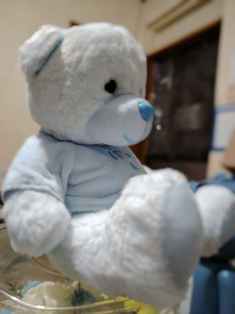 Small Blue It's A Boy Teddy Bear Plush Toy (Category: Plushies & Soft Toys) located in Manila. Submitted by justybelieve2026 (Listing ID 1465496687, Image 3). Description: Light blue teddy bear wearing a matching shirt. Embroidered lettering reads It's A Boy on the front. Soft plush material, plastic blue nose and dark button eyes. Sits upright nicely. Clean and fluffy condition. 11 inches.