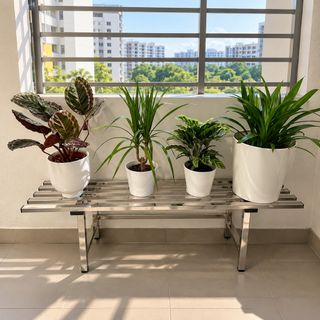 (Category: ) located in . Submitted by _luxehomeliving_ (Listing ID 1465413823, Image 1). Description: .