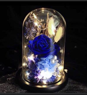 (Category: ) located in . Submitted by lovely_indulgence (Listing ID 1465391412, Image 1). Description: .