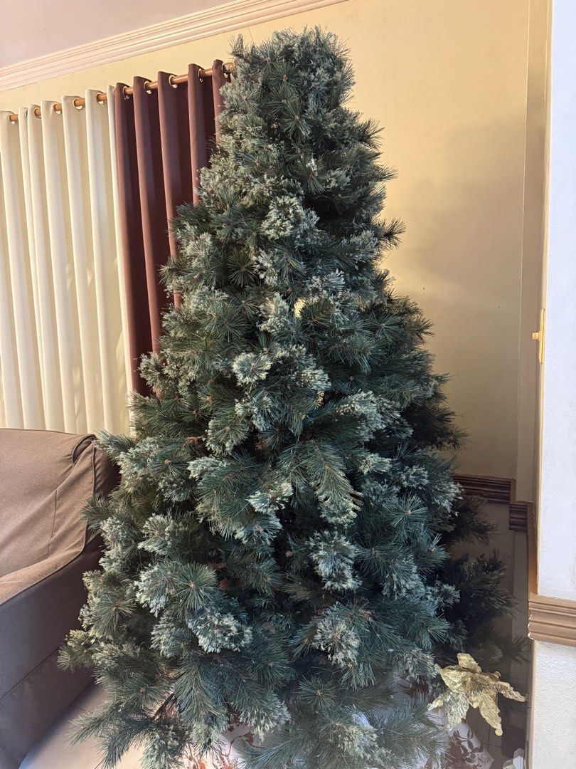 Artificial Frosted Pine Christmas Tree (Category: Artificial Plants & Flowers) located in Las Pinas. Submitted by tintinsant0s (Listing ID 1469221778, Image 3). Description: - Large artificial Christmas tree with realistic pine needle texture - Features beautiful frosted tips and full branches for a lush look - Stands tall and fits perfectly in the living room corner - Quick and easy to set up and take down - Ready for all your holiday decorating