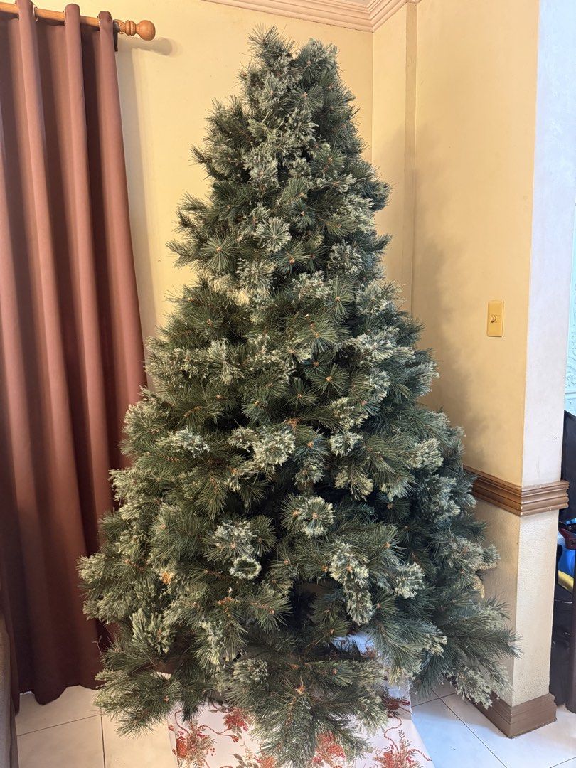 Artificial Frosted Pine Christmas Tree (Category: Artificial Plants & Flowers) located in Las Pinas. Submitted by tintinsant0s (Listing ID 1469221778, Image 1). Description: - Large artificial Christmas tree with realistic pine needle texture - Features beautiful frosted tips and full branches for a lush look - Stands tall and fits perfectly in the living room corner - Quick and easy to set up and take down - Ready for all your holiday decorating