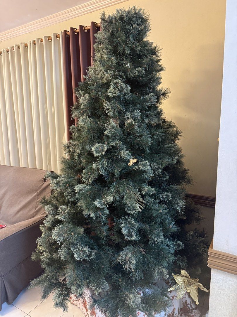 Artificial Frosted Pine Christmas Tree (Category: Artificial Plants & Flowers) located in Las Pinas. Submitted by tintinsant0s (Listing ID 1469221778, Image 2). Description: - Large artificial Christmas tree with realistic pine needle texture - Features beautiful frosted tips and full branches for a lush look - Stands tall and fits perfectly in the living room corner - Quick and easy to set up and take down - Ready for all your holiday decorating