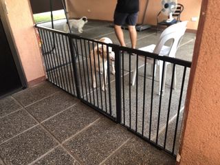 (Category: ) located in . Submitted by malyaolivera (Listing ID 1469163175, Image 1). Description: .