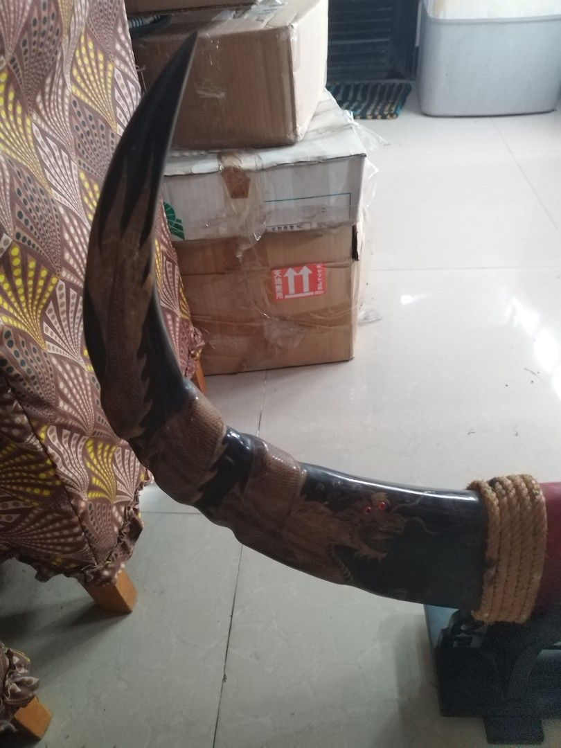 Buffalo horn with dragon design 2 (Category: Vintage Collectibles) located in San Rafael. Submitted by jflshoppe1989 (Listing ID 1469230754, Image 3). Description: size lenght 29 inches height 23 inches with wood stand.