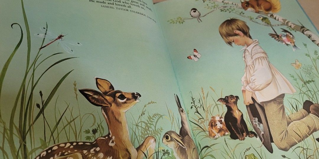 Bundle Book for Toddlers and up : Bedtime read aloud (Category: Children's Books) located in Pateros City. Submitted by sktreasures (Listing ID 1469206202, Image 3). Description: .
