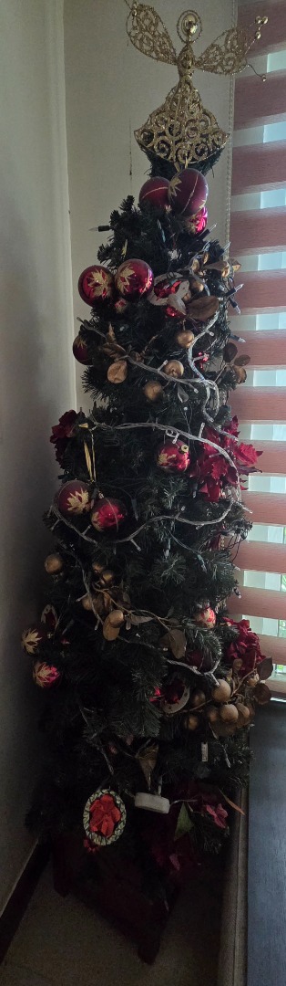 (Category: ) located in . Submitted by maritoni_g (Listing ID 1469180937, Image 1). Description: .