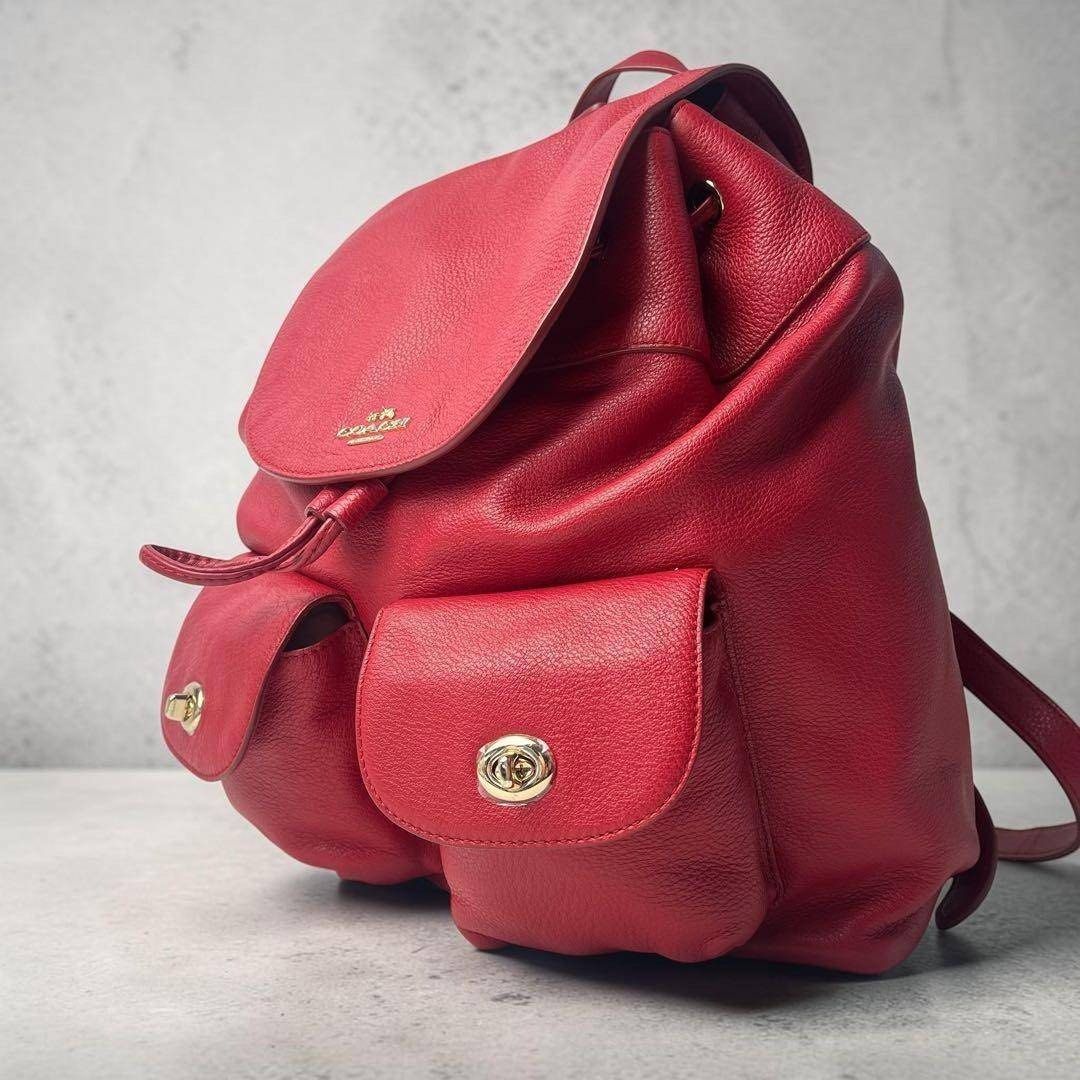 Coach Billie Backpack Pink (Category: Luxury Bags & Wallets) located in Dagupan City. Submitted by nicacloset.ph (Listing ID 1469203103, Image 1). Description: photo for reference only.
