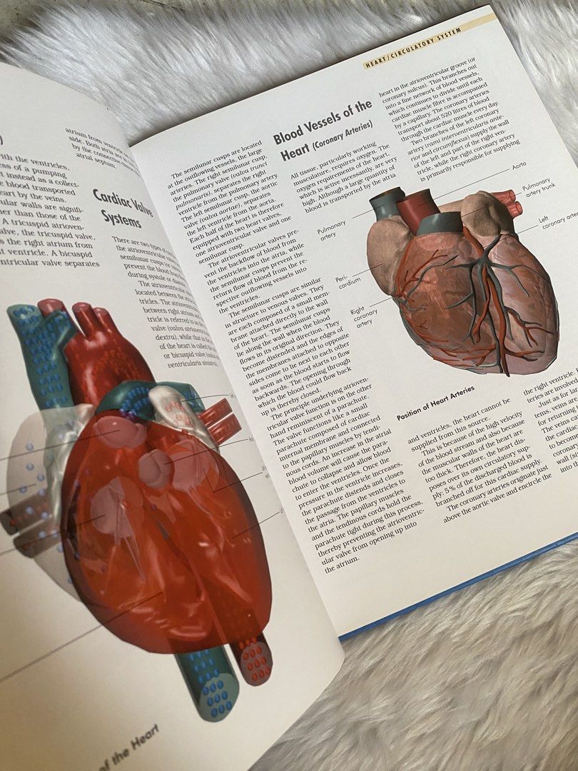 Compact Knowledge The Body Anatomy Reference Book NGV (Category: Textbooks) located in Quezon City. Submitted by donagraceliwanag (Listing ID 1469308879, Image 3). Description: - Title: The Body (Compact Knowledge Reference Guide) - Format: Hardcover edition - Content: Covers organs, body systems, and biological functions - Visuals: Detailed anatomical illustrations including human skeleton, heart, digestive tract, and endocrine glands - Features