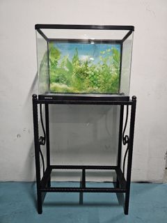 Fish Tank, Pet Supplies, Homes & Other Pet Accessories on Carousell