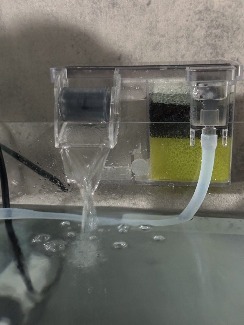 Glass fish tank setup with filter and air pump (Category: Fishing) located in Cavite. Submitted by ceslestia04 (Listing ID 1469348495, Image 2). Description: - Complete glass aquarium setup, ready for immediate use - Includes clear glass tank, hanging filter with multiple pads, and internal filter components - Comes with a working blue air pump, tubing, and electrical cords - small oranda goldfish included (FREE) - Perfect, hassle-free starter ki