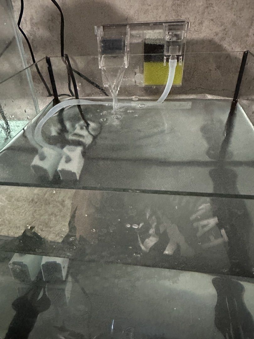 Glass fish tank setup with filter and air pump (Category: Fishing) located in Cavite. Submitted by ceslestia04 (Listing ID 1469348495, Image 3). Description: - Complete glass aquarium setup, ready for immediate use - Includes clear glass tank, hanging filter with multiple pads, and internal filter components - Comes with a working blue air pump, tubing, and electrical cords - small oranda goldfish included (FREE) - Perfect, hassle-free starter ki