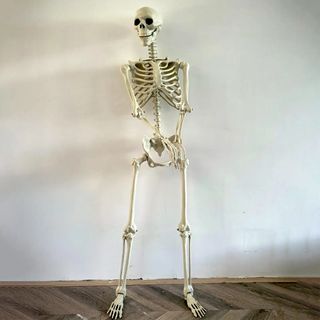 （分類：）位於 。 由 jokersgrin90175 提交（商品編號 1469349085，圖片 1）。簡介： 。