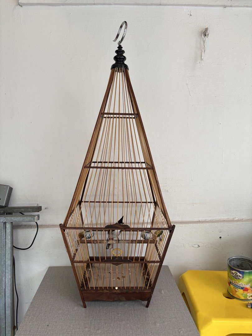 Jambul bird cage, Everything Else on Carousell