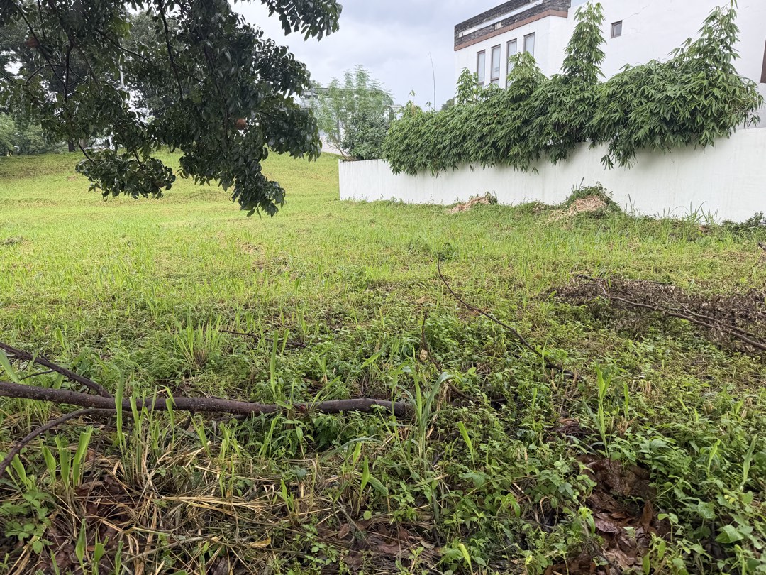 (Category: ) located in . Submitted by brokerdonpaulo (Listing ID 1469374704, Image 1). Description: .