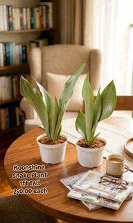 (Category: ) located in . Submitted by mherz_ariel (Listing ID 1469255757, Image 1). Description: .