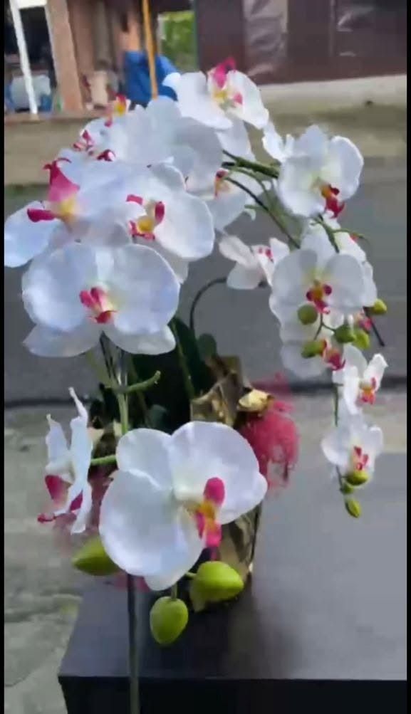 REALISTIC ARTIFICIAL ORCHID – BIG SIZE WITH ELEGANT VASE! (Category: Artificial Plants & Flowers) located in Sablan. Submitted by gongonshelley12 (Listing ID 1469319250, Image 1). Description: REALISTIC ARTIFICIAL ORCHID – BIG SIZE WITH ELEGANT VASE! ✔ LIFELIKE BLOOMS – PARANG TUNAY NA ORCHID ✔ NAPAKA LAKI PO NITO – PERFECT CENTERPIECE SA BAHAY OR OFFICE ✔ ELEGANT VASE – READY FOR DISPLAY, NO EXTRA SETUP NEEDED ✔ JAPAN SURPLUS QUALITY – DURABLE A