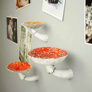 （分類：）位於 。 由 cameraeyg81526 提交（商品編號 1469496759，圖片 1）。簡介： 。