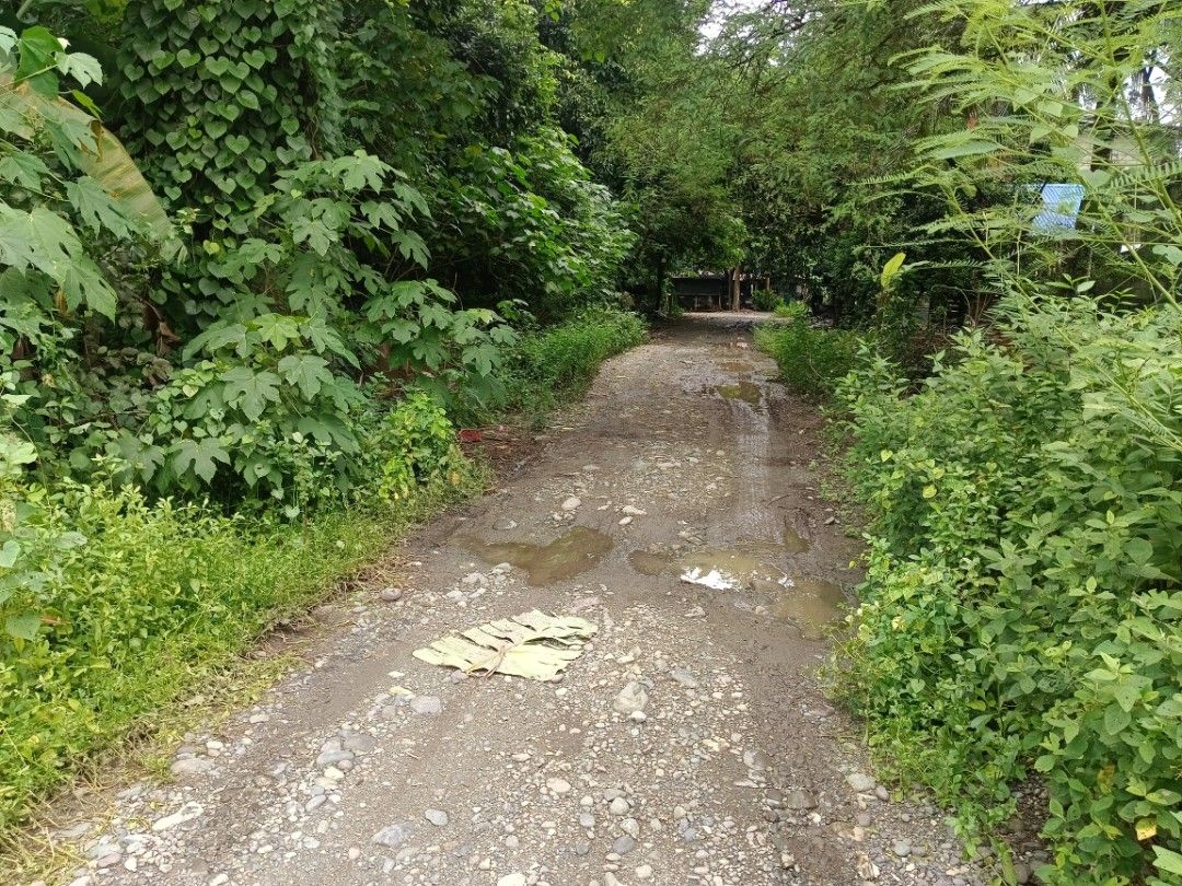 408sqm lot (Category: Lot) located in Manila. Submitted by georgearci09090 (Listing ID 1469514166, Image 2). Description: * front of forest lake memorial *front metro inn *best for residential *best for paupahan *20 meter in highway.