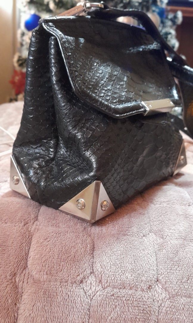ALEXANDER WANG (Category: Luxury Bags & Wallets) located in Tayabas. Submitted by lizwyne24 (Listing ID 1469548760, Image 2). Description: ALEXANDER WANG.