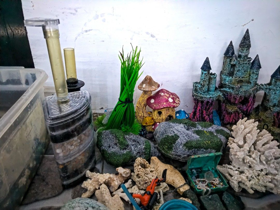 Aquarium Accessory (BUNDLE) (Category: Homes & Other Pet Accessories) located in General Trias. Submitted by mervcorner (Listing ID 1469554072, Image 3). Description: Aquarium Accessory (BUNDLE) Includes: - With Air pump - 2-Layer Corner Filter (Purchased at 215 pesos year 2022) - Genuine Coral Reef with Broken Parts that can be glued (From Cam Sur) - Large Castle Resin (Purchased at 874 pesos year 2021) - 2 Small Castle Resins - Genuine Stones -