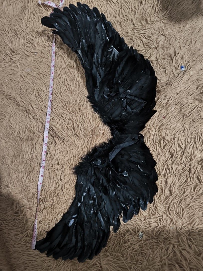 Black Feather Wings Costume Accessory (Category: Other Accessories) located in Marikina City. Submitted by alecfordy (Listing ID 1469411157, Image 3). Description: Large Black Feather Wings Costume Accessory.