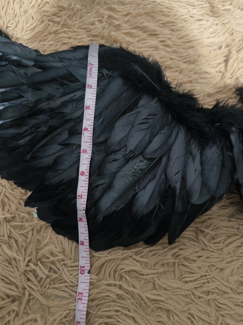 Black Feather Wings Costume Accessory (Category: Other Accessories) located in Marikina City. Submitted by alecfordy (Listing ID 1469411157, Image 2). Description: Large Black Feather Wings Costume Accessory.
