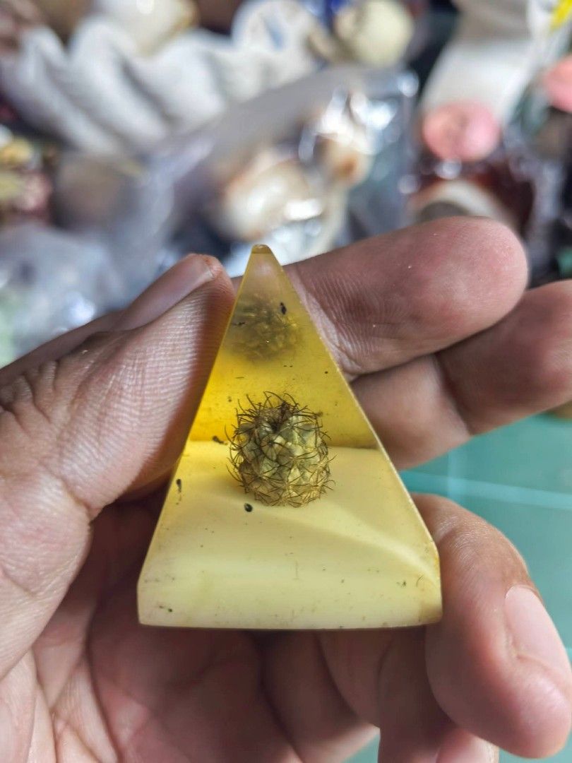 Cactus Prism - Resin (Category: Other Home Decor) located in Cebu City. Submitted by dudes_villanueva (Listing ID 1469433537, Image 2). Description: Cactus Prism - Resin 📌 Preloved. See all pics for condition..