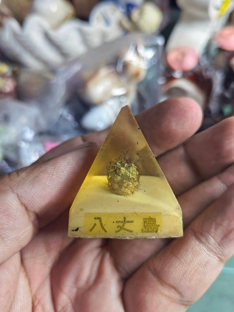 Cactus Prism - Resin (Category: Other Home Decor) located in Cebu City. Submitted by dudes_villanueva (Listing ID 1469433537, Image 1). Description: Cactus Prism - Resin 📌 Preloved. See all pics for condition..