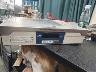 （分類：）位於 。 由 zibai0227-71797 提交（商品編號 1469438854，圖片 1）。簡介： 。