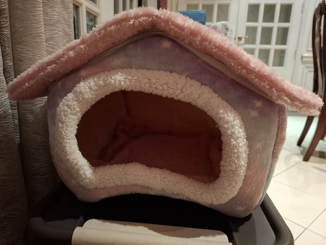 Cat or dog bed house pink rainbow size small (Category: Homes & Other Pet Accessories) located in Pasig City. Submitted by keekeedee (Listing ID 1469489675, Image 2). Description: Size small 39 x 32 x 34 cm , less than 3.5 kg na cat or dog Well used condition please see actual pics.