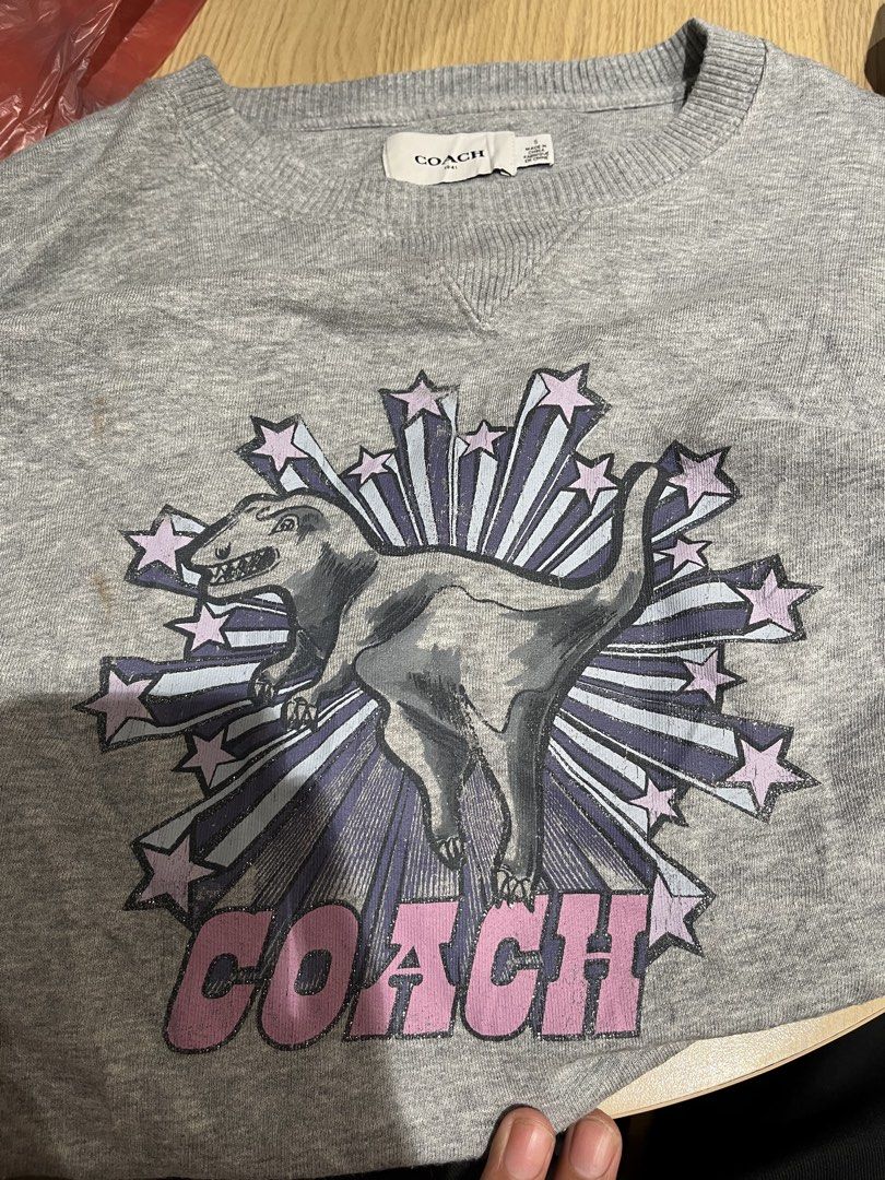 Coach Rexy Graphic Sweatshirt (Category: Luxury Apparel) located in City of Isabela. Submitted by ibzagga (Listing ID 1469498869, Image 2). Description: 23x25.
