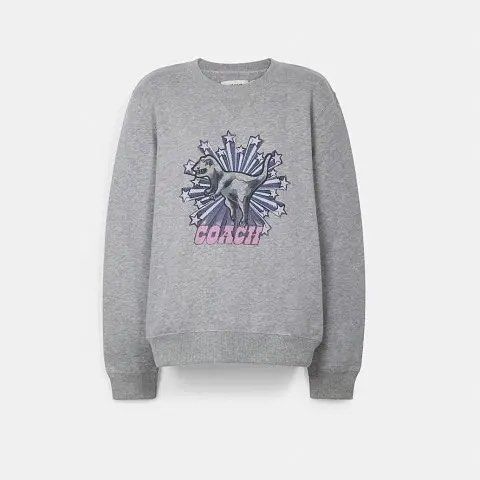 Coach Rexy Graphic Sweatshirt (Category: Luxury Apparel) located in City of Isabela. Submitted by ibzagga (Listing ID 1469498869, Image 1). Description: 23x25.
