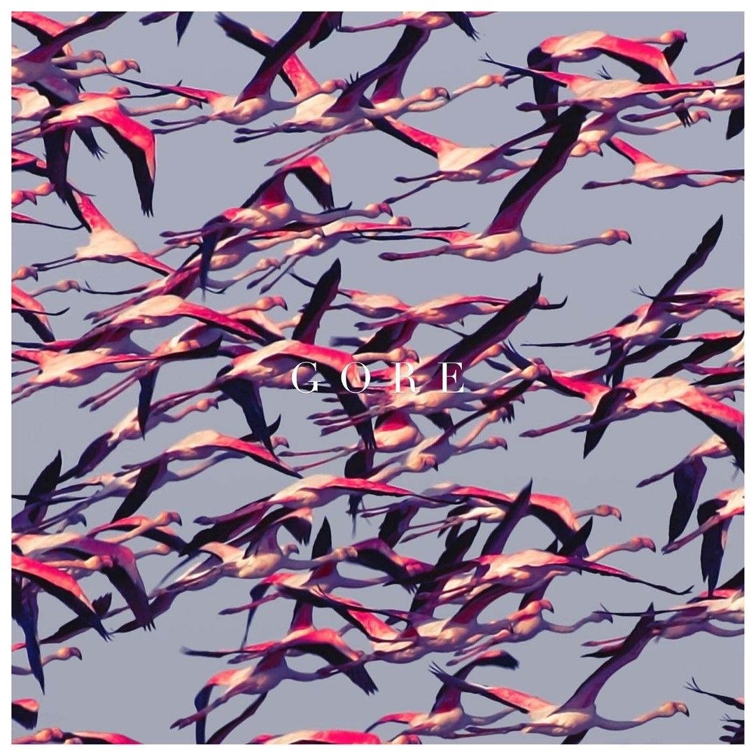 Deftones - Gore (CD) (Category: CDs & DVDs) located in Pasig City. Submitted by windowlicker (Listing ID 1469415163, Image 1). Description: - Listings without photos are still in transit and are expected to arrive within the week - Near Mint condition (case not graded) - MOD: J&T or Lalamove - MOP: Gcash.