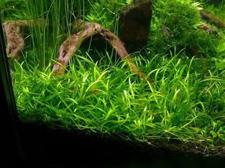 (Category: ) located in . Submitted by nuttypan (Listing ID 1469524322, Image 1). Description: .
