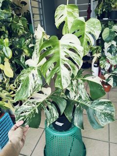 (Category: ) located in . Submitted by lynn270359929 (Listing ID 1469496248, Image 1). Description: .