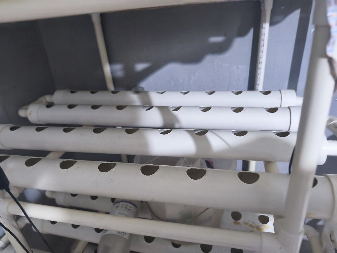 Nft hydroponics system set 108holes (Category: Handmade Craft) located in Manila. Submitted by youngturtle.b4a4a5 (Listing ID 1469477052, Image 1). Description: take all 2 set of 108holes for 8k with free styrobox.