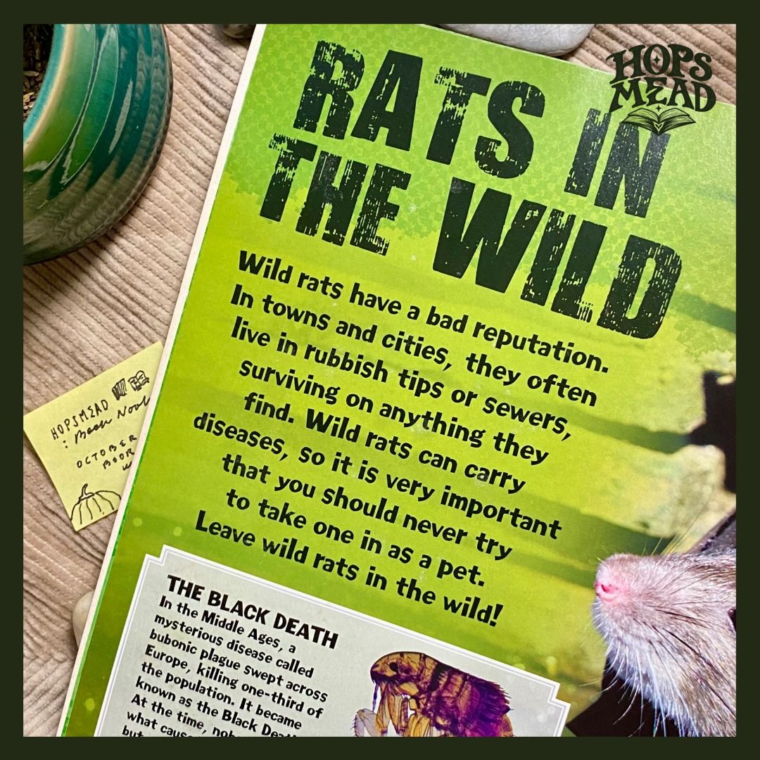 RATS: THE PET TO GET BOOK (Category: Children's Books) located in Lucena. Submitted by hopsmead (Listing ID 1469500648, Image 2). Description: :: THE PET TO GET: RATS Book ₱66 ☰ Engaging & fun book to read about rats and animal enthusiasts. Especially for our kiddos and teens who are interested in adopting cool & unusual pets ! :: BOOK QUALITY & ORIGIN ☰ Original price: ₱75 ☰ Condition: Like-New ☰ Format: Softbound :: MESSAGE FROM HOPSMEAD To inq