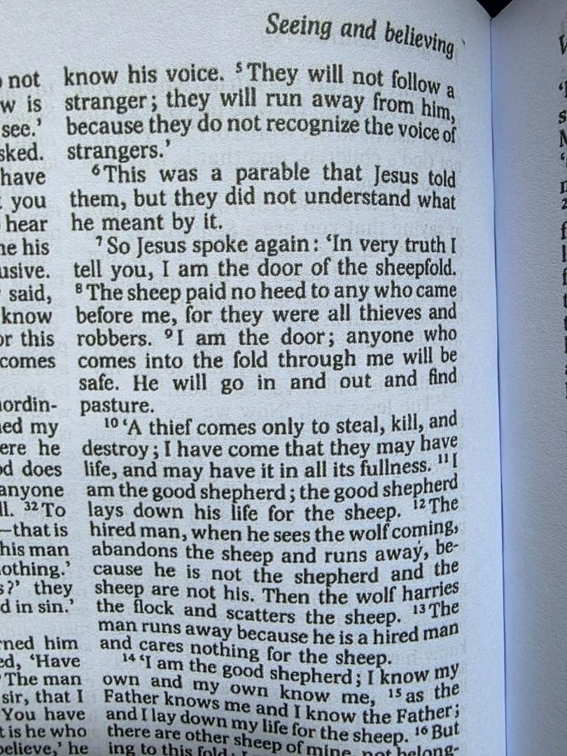 Revised English Bible - New Testament (REB-NT), Hobbies & Lifestyle ...