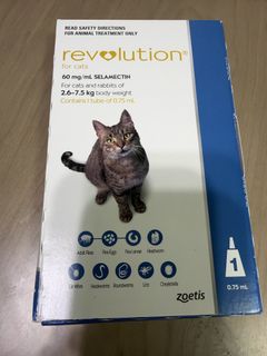 （分類：）位於 。 由 dimdimdoudou 提交（商品編號 1469507168，圖片 1）。簡介： 。