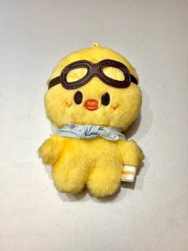SKZOO BbokAri plush keychain Stray Kids skzoo baby, Toys & Collectibles ...