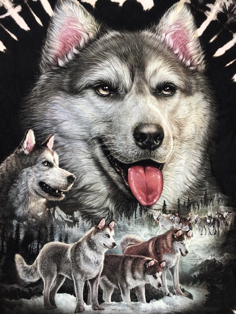 WOLF GRAPHIC TEEGLOWING IN THE DARK (Category: Tshirts & Polo Shirts ) located in Imus. Submitted by chararatzx. (Listing ID 1469480066, Image 3). Description: EXCELLENT LIKE NEW CONDITION COLOR RATE 10/10 HEAVY COTTON GRAPHIC TEE GLOWING IN THE DARK NO ISSUE/FLAWLESS SIZE 2XL DIMES 27 Width L35.