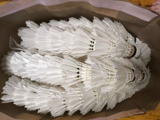 （分類：）位於 。 由 newlifephx 提交（商品編號 1469629544，圖片 1）。簡介： 。