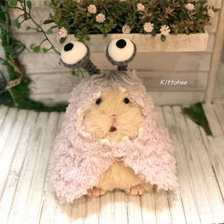 （分類：）位於 。 由 kittohse 提交（商品編號 1469729470，圖片 1）。簡介： 。