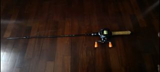 Long metal pole rod stick, Sports Equipment, Fishing on Carousell