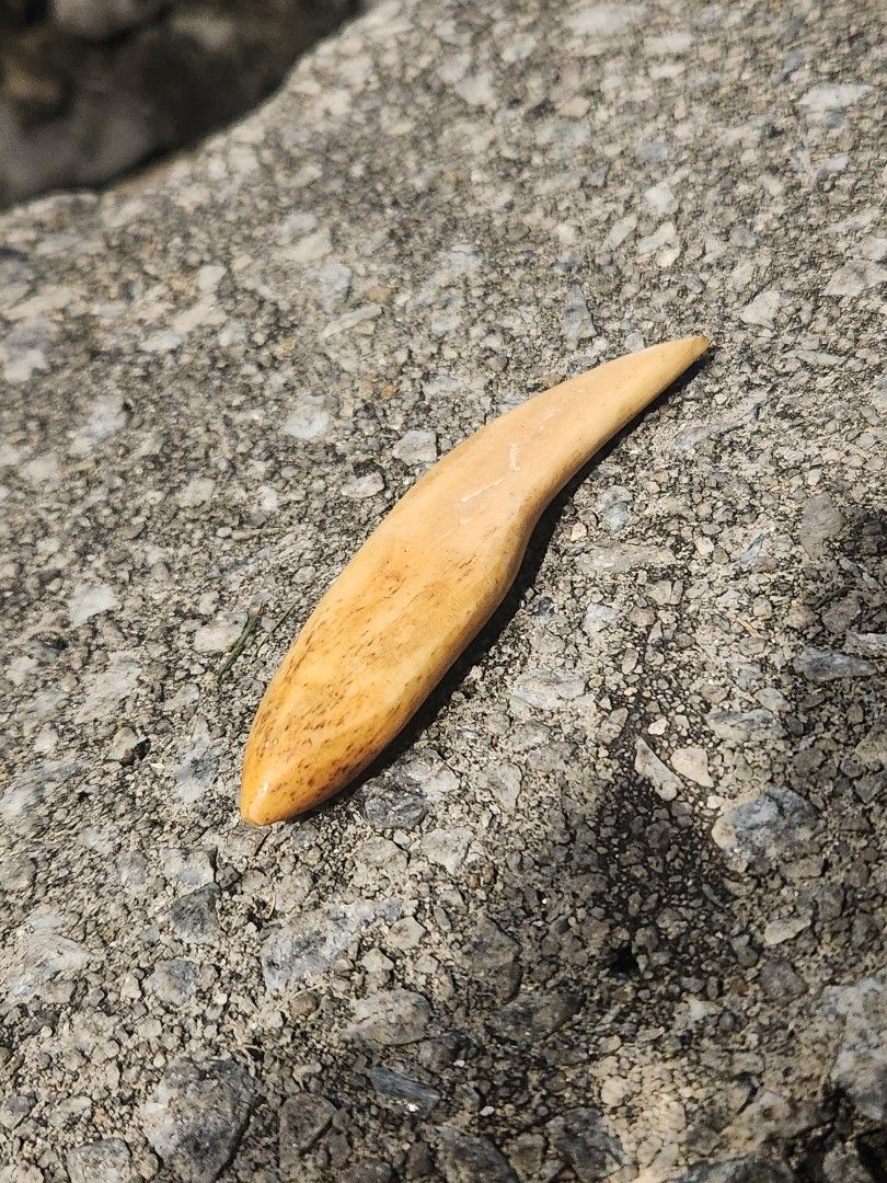 Handmade Bone Carving Curved Shape, Hobbies & Lifestyle, Stationery ...