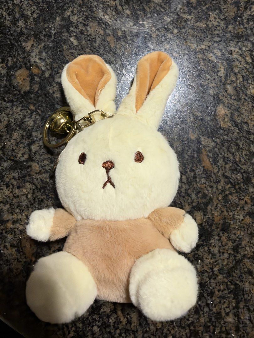 keychains (Category: Plushies & Soft Toys) located in Singapore. Submitted by abbylim_08 (Listing ID 1469725249, Image 4). Description: price negotiable, dm me for pricing! only meet-ups available.